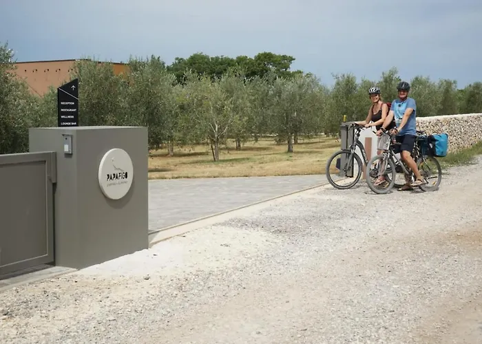 Papafigo Camping