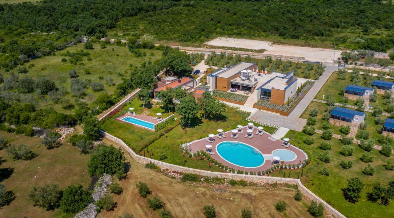 Papafigo *