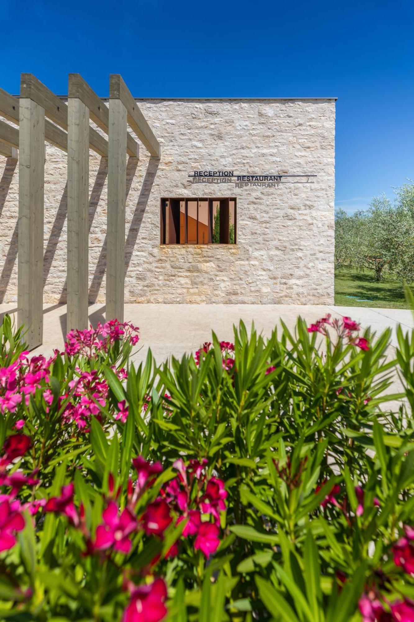 Campsite Papafigo Vodnjan